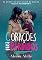 Livro Corações Quase Perdidos