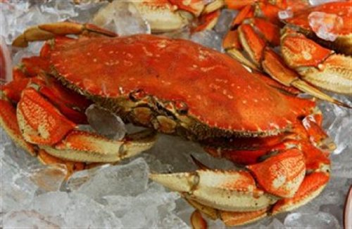 "CRAB FEST" CRAB Sampler (8 LBS of CRAB ) - Thumbnail 4