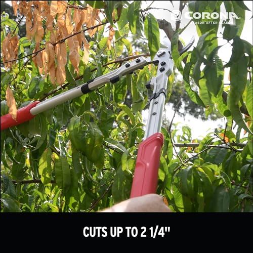Corona Tools X Series Pro Bypass Lopper – 2-1/4″ Cutting Capacity Heavy-Duty photo 9