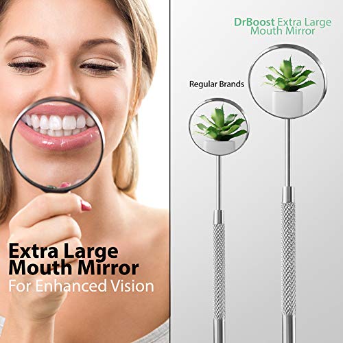 Dental Tools Tartar Plaque Remover for teeth Dental Picks Stainless