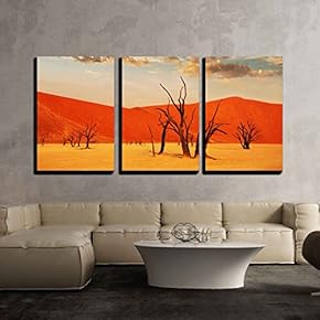 3 Piece Canvas Wall Art - Dead Valley in Namibia - Modern Home Art Stretched and Framed Ready to Hang - 16"x24"x3 Panels