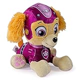 Paw Patrol Air Rescue, 8