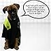 Temples Pride Lint Roller - Reusable Strong Handle - Does Not Unravel In Use - Tears Evenly & Easily - Super Sticky - Built To last - Free Products Included - Great Remover For Pet Hair, Dog & Cat Fur