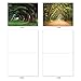 The Best Card Company - Box of 10 All Occasion Cards Blank (4 x 5.12 Inch) - Scenic Landscape Cards Assorted - Nature Trails M6467OCB