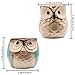 Owl Pots 2.5 Inch,Flowing Glaze Succulent Pots,Owl Planter/Mini Ceramic Pots,Small Flower/Plant/Cactus/Bonsai Container with Hole 6Pack