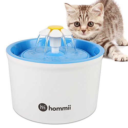 Reviewmetacom Hommii Fontaine à Fleur Pour Chat Automatic