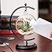 AUTOARK Glass Vase Plant Terrarium with Black Metal Stand,Ornament Display Stand,Office Desktop Potted Stand,Home & Office Decor Accent,1 Globe,APT-001