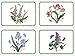 Portmeirion Botanic Garden Placemats, Set of 4