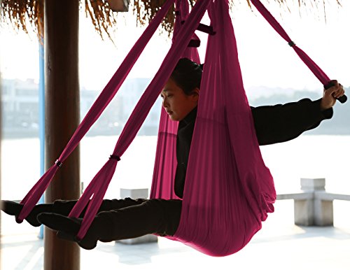 Algopix Similar Product 6 - WELOVE Aerial Yoga SwingHammock