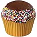 iscream Chocolate Scented Bi-Colored Frosting Cupcake 17
