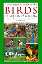 Bible For Men: Great Bible Stories For Men