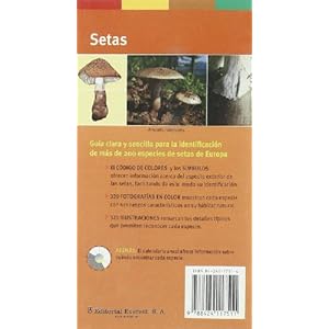 Setas. Guía Clara Y Sencilla Para Su Identificación.