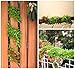 Artificial Eucalyptus Garland 6pcs Ivy Vines for Wall Hanging - Fake Willow Leaf Greenery Total 30 Branches - Plants Leaves for Party Décor Wedding Backdrop House Garden and Wall Decoration