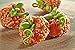 Hershey's Halloween Candy Assortment, JOLLY RANCHER AND TWIZZLERS, 125 Pieces