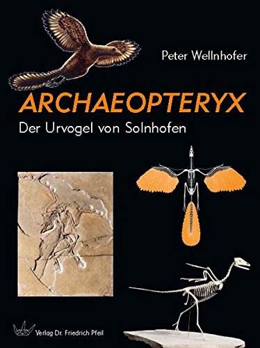 Archaeopteryx Der Urvogel Von Solnhofen Wellnhofer Peter 9783899370768 Amazon Com Books