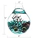 Fashion Table Aquarium - Live Moss Ball, Sea Fan, Amazonite Gravels, Seashell, Red Volcano Rock, Work Desk Decoration Indoor Decor