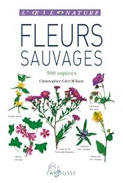 Fleurs sauvages