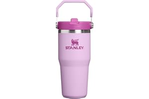 STANLEY IceFlow 2.0 Flip Straw Tumbler with Handle 14 oz | Twist On Lid and Flip Up Straw | Leakproof Water Bottle | Insulate
