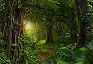Amazon.com : AOFOTO 5x3ft Mystic Ancient Tropical Forest
