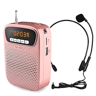 portable mic with speaker price