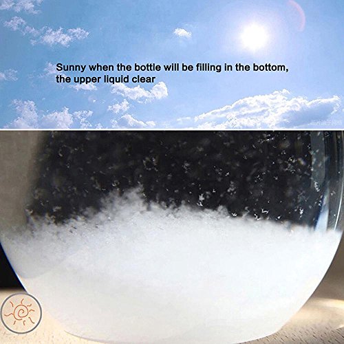 Storm Glass Weather Forecaster Bottle, niceEshop(TM) Water Droplets Weather Barometer Ornaments, Crystal Bottle for Home Office Decoration