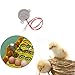 Jili Online AC 110V Automatic Egg Incubator Motor Component Turning Motor Poultry Hatcher DIY Farm