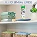Lysol Max Cover Disinfectant Mist, Brighter Horizon, 15oz