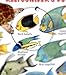 fishcardscom Reefcomber's Guide ID Card ~ Fishes, Corals & Invertebrates ~ Florida, Bahamas & Caribbean
