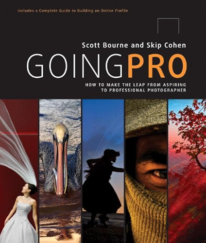 Download Going Pro: How to Make the Leap from Aspiring to Professional Photographer (English Edition) PDF