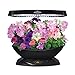 AeroGarden 7 LED Indoor Garden with Gourmet Herb Seed Pod Kit