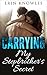 Romance: Carrying My Stepbrother's Secret