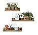 del Hutson Designs Rustic Luxe Floating Shelves, USA Handmade, Pine Wood, Set of 3 (Dark Walnut)