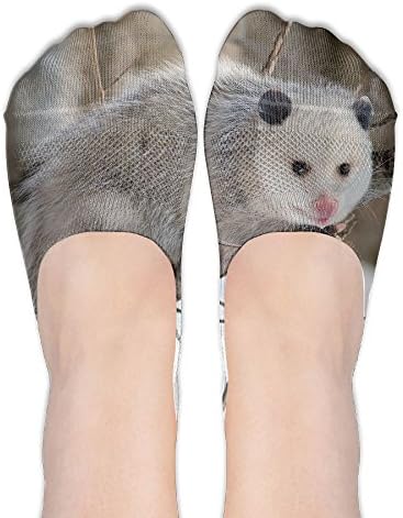 DISXHSH Thin Hidden No Show Liner Opossum In Snow Athletic Running Socks Non Slip Flat Boat Line