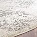 SAFAVIEH Adirondack Collection Area Rug - 9' x 12', Ivory & Silver, Oriental Distressed Design, Non-Shedding & Easy Care, Ideal for High Traffic Areas in Living Room, Bedroom (ADR101B)