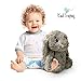 Baby Sound Machine - Soft, Toy Plush Plays Lullaby Sounds as a Sleep Soother - Light, Portable, and Battery Operated - for Babies, Girls, Boys, Kids, Children, Nursery, Baby Shower Gift