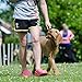 Sminiker Professional Retractable Dog Leash With Durable, Thick&Adjustable 16ft Dog Retractable Leash Are The Best Pet Leash Dog Lead For Small, Medium, Large Dogs To Training, Walking, Jogging(Black)
