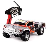 DAZHONG Wltoys Rc Car Truck,High 32MPH Speed 1:18 Scale 2.4G 4WD RTR Off-Road Racing Rometo Control Car with Anti - vibration System and Built- in Li-Po Battery,US Plug