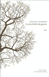 La  possibilité du garçon