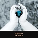 SINGULARITY                                        image