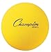 Champion Sports Uncoated Regular Density Foam Ball