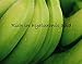 Nalani 100% Chemical Free Hyaluronic Acid Cream Moisturizer for Face and Neck with Avocado Oil & Banana Oil, 2oz