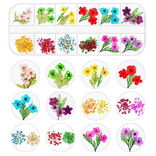 Nail Art Dried Flowers and Leaves 3D Nail Art Sticker Decals,24 Colors Natural Real Small Dried Flowers Nail Art Kit Decorations Supplies with Tweezer (2 Boxes)