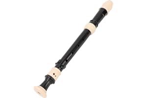 Flute ABS Descant Recorders Instrument, Detachable 8 Hole Soprano Recorder Musical Instrument with Exquisite Craftsmanship, M