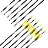 Fiberglass Arrows Archery 30 Inch Target Shooting Practice Arrows Recurve Bows Suitable for Children Woman Beginner