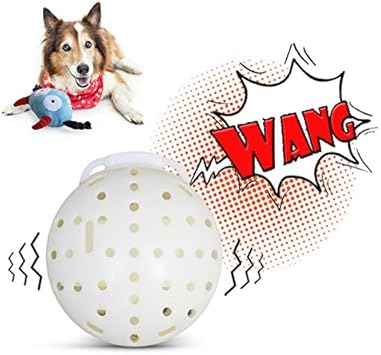 amazon cane interattivo