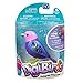 DigiBirds - Single Pack - Purple