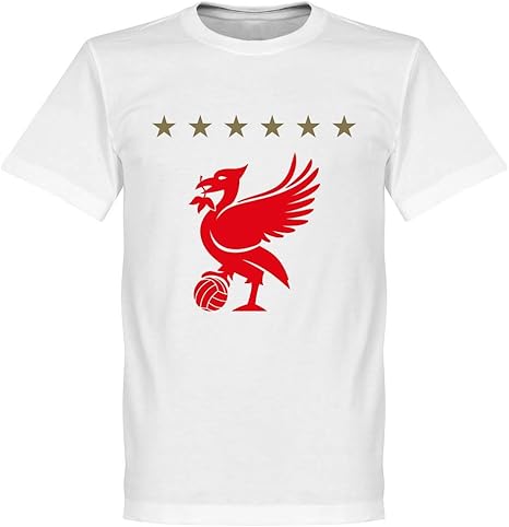 amazon uk liverpool shirts