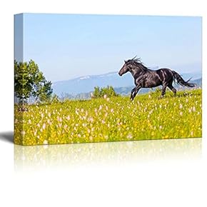 Canvas Prints Wall Art - Arab Racer Runs on a Green Summer Meadow | Modern Home Deoration/Wall Art Giclee Printing Wrapped Canvas Art Ready to Hang - 12" x 18"