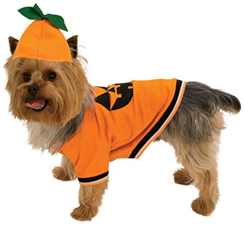Rubie's Pet Costume, Small, Pumpkin