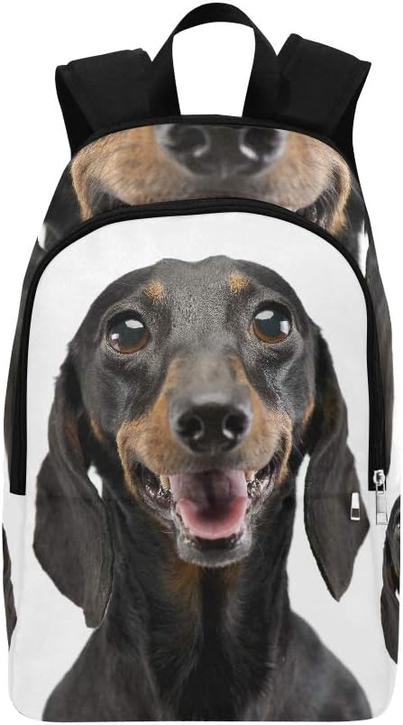 Amazon Com Qyueshang Portrait Of An Adorable Short Haired